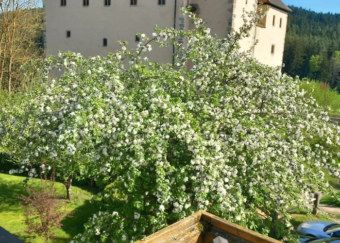 아파트 Sylvias Burgblick *