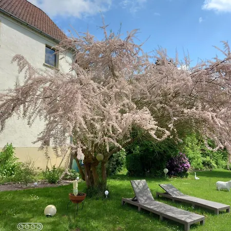 Sylvias Burgblick Lägenhet